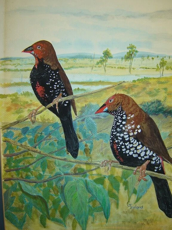 Gavin Ireland Art - Keeping history alive - Artist - Illustrator